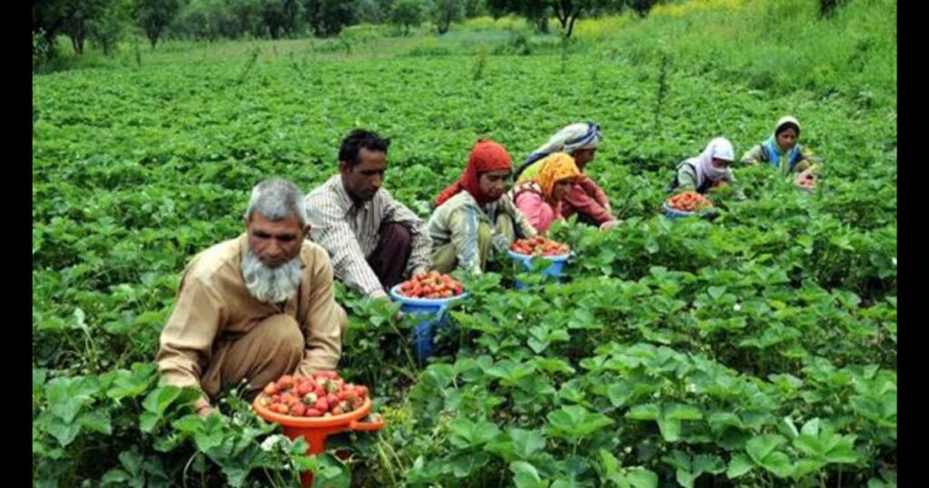 PM Modi Unveils Game-Changing Agri-Project for J&K