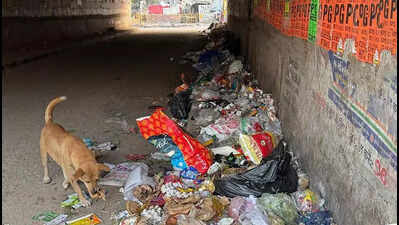 Underpass or Dumping Ground? Gurugram Commuters Struggle Through Garbage Stretch