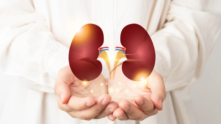 Kidney Health Awareness Gains Attention Amid Rising Lifestyle Diseases